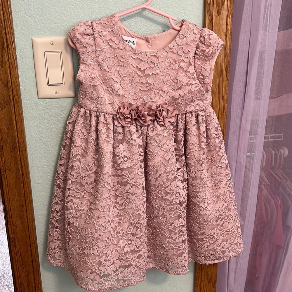 Adorable and Classic Pink Lace Girl Dress